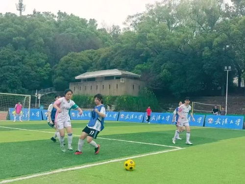 四人报名竞选中国女足主帅 足协将安排面试考核
