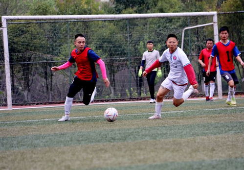 小九直播 封面图