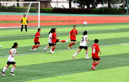 巴黎奥运会：法国男篮82-73加拿大男篮 挺进四强