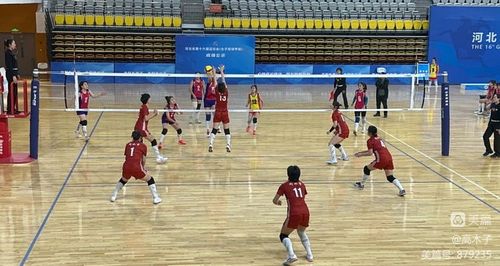 黑白体育直播NBA免费观看 现场画面