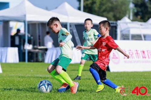 360吧体育直播下载 封面图