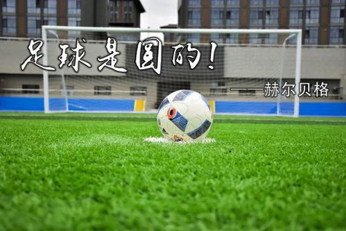 nbajrs蜘蛛直播 现场画面