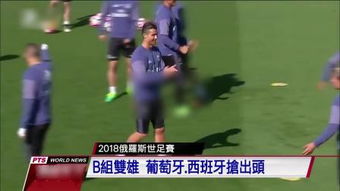 体育免费直播app下载软件 封面图