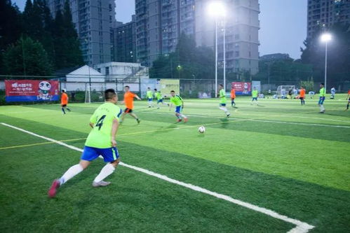 乐球吧免费直播网站下载 封面图